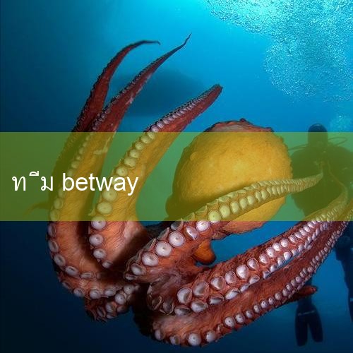 1. betway Biwei เป็นบริษัทกีฬาในต่างประเทศและกระตือรือร้นที่จะลงทุนในทีมต่าง ๆ และลงทุนในทีมยุโรปหลายทีม ในขณะที่ซอฟต์แวร์จํานวนมากในประเทศก็ใช้ชื่อ Biwei ในการแนะนํากีฬาและแอปกีฬา ตัวเอกของเราในวันนี้ก็คือแอพกีฬา แอพนี้สําหรับคนรักกีฬา #Play8 #fun88 #m88 #w88