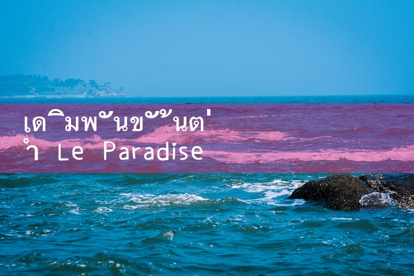 Le Paradise fun88 เดิมพันขั้นต่ำ|Play8|fun88|8xbet|ufabet