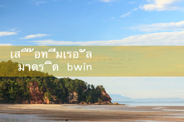 เสื้อทีมเรอัล มาดริด bwin หมายถึงอะไร|M88|Play8